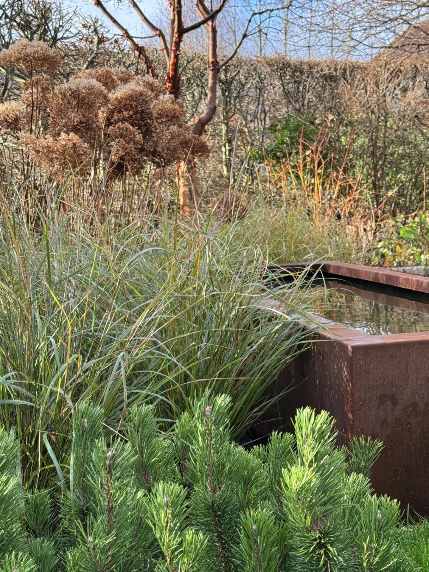 Raceh Spurgeon, Garden Designer